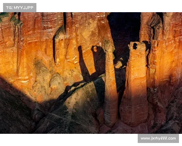 探秘神兽森林一年中最佳探索时间与自然奇观全解析